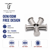 Rivets semi-tubulaires à tête plate personnalisés pour étiquettes de rayonnages, prototypes d'ingénierie, TianFang Cuivre Étamé, Tailles sur mesure