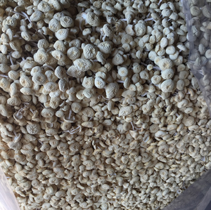 Tự Nhiên Nấu Ăn Chất Liệu Khô Trắng Agrocybe Aegerila Trắng Cây Trà Agrocybe Aegerila Mushoom Cho Thực Phẩm - Product Image 4