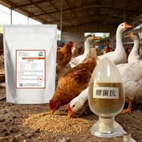 Aliments composés pour volailles de haute qualité pour augmenter le taux de ponte des œufs