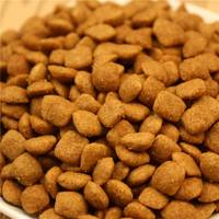 Ligne de production automatique de croquettes sèches pour chiens et chats, extrudeuses à double vis pour aliments pour animaux de compagnie, capacité de 300 kg/h