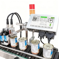 Impresora de Codificación por Inyección de Tinta Térmica en Línea TIJ de 12.7MM DOCOD OEM/ODM T210E con 2 Cabezales de Impresión, Máquina de Codificación de Códigos de Barras para Fecha de Caducidad y Logotipos