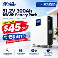 Batterie de stockage d'énergie domestique Docan EU USA Stock 48V 300Ah 16kWh LiFePO4, packs de batteries murales 314Ah, BMS intelligent 200A WiFi