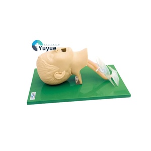 <span class=keywords><strong>แบบ</strong></span>จำลองการฝึกใส่ท่อช่วยหายใจสำหรับเด็กที่มีความเที่ยงตรงสูง PVC ขั้นสูงแบบจำลองการใส่ท่อช่วยหายใจสำหรับวิทยาศาสตร์การแพทย์ฉุกเฉิน - Product Image 1