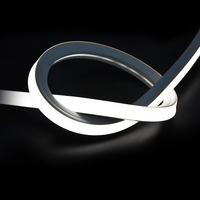 Tube en silicone imperméable de style néon 2010A pour bande LED 10-12mm décoration intérieure/extérieure facile à encliqueter