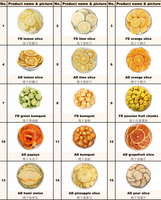 Groothandel in diverse soorten natuurlijk gedroogd fruit: aardbeien, gedroogde mango, citroenen, sinaasappelschijfjes, gedroogde vijgen.
