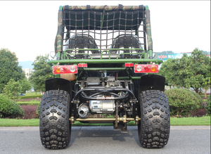 2019 Bán Buôn Giá Rẻ 2 Chỗ 1500cc 4X4 Bãi Biển Buggy UTV Buggy Với CE Hot On Sale - Product Image 5