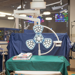 Lampu bedah tanpa bayangan <span class=keywords><strong>LED</strong></span> kelopak kualitas tinggi pasokan daya hewan lampu ruang operasi untuk klinik rumah sakit elektrik - Product Image 3