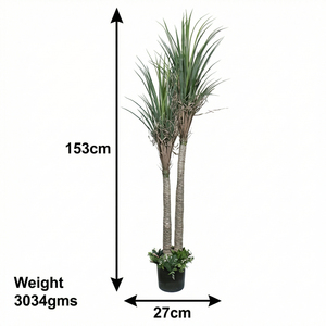 <b>Artificial</b> Dracaena Marginata Plant Indoor Decorative Potted Plant Premium Home Office Hotel Lobby Event Greenery Display Plant - Product Image 1