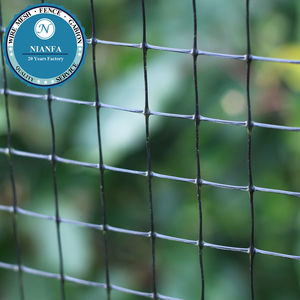 <span class=keywords><strong>Malla</strong></span> de Alambre Tejida de 5x10m con Orificios de 2.5cm para Captura de Aves, con Tejido Plano y Servicio de Doblado (Fábrica de Guangzhou) - Product Image 2