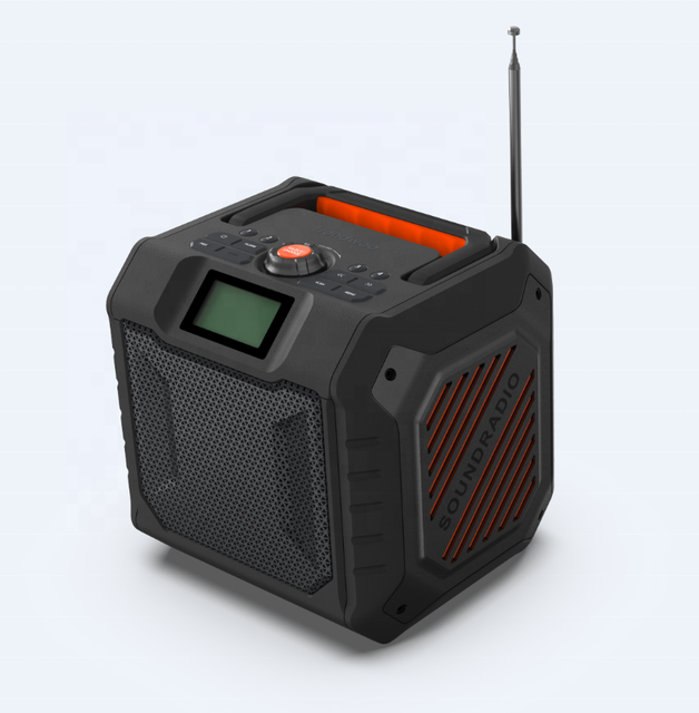 Trendwoo OEM New Portable Outdoor 5.3 FM DAB Radio Bluetooth Speaker with Power Bank, TF Card