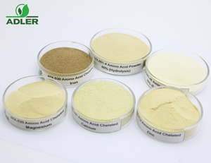 Su çözünürlüğü Farmate yaprak gübre domates bitki gübre organik toprak değişiklikleri - Product Image 6