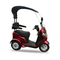 Scooter électrique à trois roues motorisé pour adultes, homologué CE, vitesse maximale de 30 à 50 km/h, tricycle électrique motorisé, autonomie de 70 à 90 km