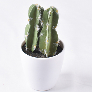 Piante artificiali Mini <span class=keywords><strong>Cactus</strong></span> miste ad alta simulazione verde esterno vero tocco - Product Image 4