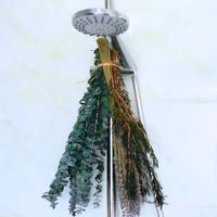 Feuilles d'eucalyptus séchées avec tiges de lavande en lot, en vrac, pour arrangements floraux de mariage, décoration intérieure, verdure, vente en gros d'usine OEM
