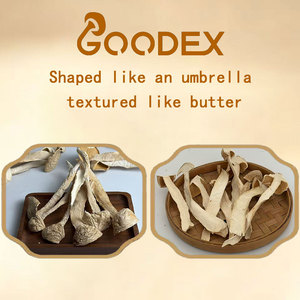 Rebanadas de hongo <span class=keywords><strong>Matsutake</strong></span> silvestre deshidratado, <span class=keywords><strong>Tricholoma</strong></span> <span class=keywords><strong>Matsutake</strong></span>, hongo comestible de calidad alimentaria, venta al por mayor a granel OEM - Product Image 3