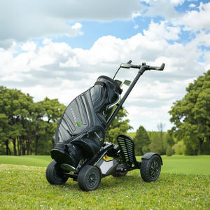 Pour ESWING haute qualité 4 roues gros pneu électrique Golf Scooter pousser chariot moteur sans balais Fairway Runner à vendre - Product Image 1