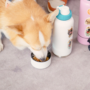 Everich Thiết kế xách tay 32 oz <span class=keywords><strong>2</strong></span> trong 1 thép không gỉ cách điện Dog chai nước lưu trữ Jar - Product Image 5