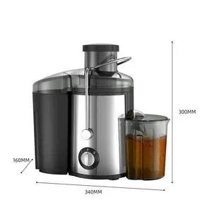 600W High Performance Kitchen Fruit Juicer Stainless Steel Orange Juicer Juicer Extractor With All Kinds Of Approval