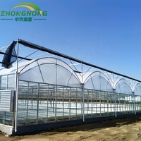 Serre multi-spans en film plastique/polycarbonate avec structure en acier galvanisé pour légumes/tomates/laitues