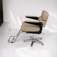 [ECCLIM] ZENITH 200 (démontable) EC-015 Fauteuil de Barbier Commercial en Acier Inoxydable Design Moderne Origine Corée Officiel Facile à Assembler