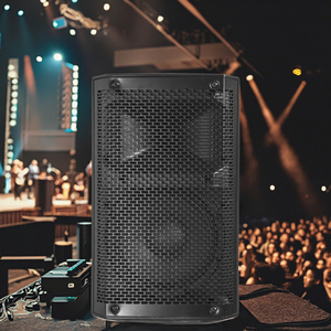 Chất Lượng Hàng Đầu Thiết Bị Âm Thanh <span class=keywords><strong>15</strong></span> <span class=keywords><strong>Inch</strong></span> Hộp Loa Tủ Riêng RMS 500W Hoạt Động PA Hệ Thống Loa - Product Image 6