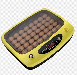 Trứng Gà 36 Công Suất Tự Động Lồng Ấp Trứng Gia Cầm Với Kiểm Soát Nhiệt Độ Và Độ Ẩm Để Bán - Product Image 5