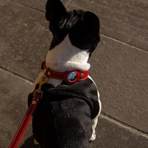Collar Airtag de cuero para perro, Funda de cuero de alta calidad, resistente al agua, reflectante - Product Image 4