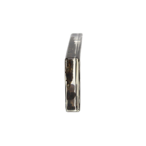 Prodotto di scienza medica modello millepiedi e Horseland - Product Image 4