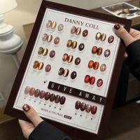 ZRKGEL DANNY COLL – Kit de vernis gel œil-de-chat 24 couleurs pour l'automne, sans TPO ni HEMA, pour l'automne et l'hiver, vente en gros pour fournisseurs de vernis à ongles, kit de gel UV