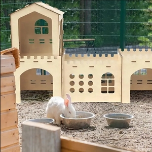 Maison de lapin en bois délicate à vendre en gros Double lapin maison pour animaux de compagnie <span class=keywords><strong>Cage</strong></span> salon espace lapin jouer cabane cachée - Product Image 5