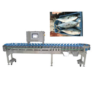 Máquina clasificadora de peso de pescado congelado - Product Image 1