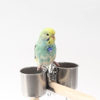 Outils d'alimentation pour oiseaux, double gobelet pour oiseaux de compagnie avec clip, mangeoire en acier inoxydable pour cage à perroquet
