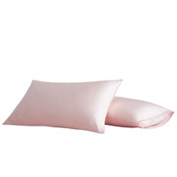 Véritable Housse de Coussin Classe A 100 en Lyocell, Couleur Unie, Moderne et Minimaliste, pour l'été, en Soie Brocart, Vente en Gros