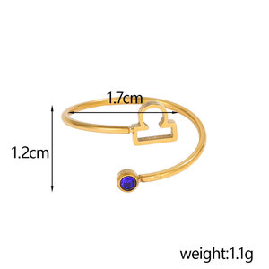 Anillos de Zodiaco Ajustables de Acero Inoxidable 316L con Baño de Oro PVD de 14k y 18k, con Circonitas, para Mujer, Venta al Por Mayor, Personalizados, Resistentes al Deslustre - Product Image 5