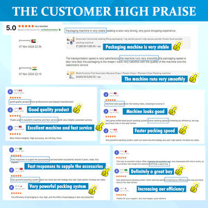 Máquina Empacadora de Alimentos Vertical Automática para Sellado al Vacío de Carbón y Ensilaje de 25Kg-50Kg - Product Image 4