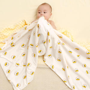 Couverture pour bébé en peluche douce Minky pour tout-petit, nouveau-né, poussette, voyage, logo personnalisé - Product Image 2