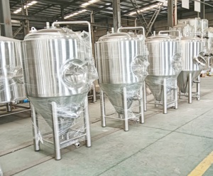 Serbatoio di Fermentazione per Birra Artigianale <span class=keywords><strong>da</strong></span> 500 L per Sistema di Produzione Birra Commerciale, Vendita Diretta dalla Fabbrica - Product Image 4