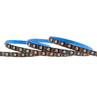 Lampes LED à pixels intelligents RGBW DC12V WS2815 SMD5050 pour parcs à thème et manèges, éclairage architectural paysager
