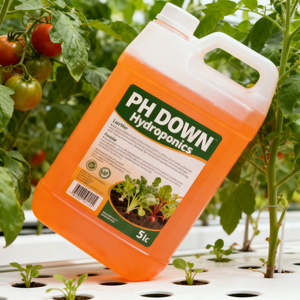 <span class=keywords><strong>Engrais</strong></span> liquide <span class=keywords><strong>hydroponique</strong></span> organique PH Down pour NFT/<span class=keywords><strong>culture</strong></span> en eau profonde/goutte à goutte, 81% d'acide phosphorique, régulateur de pH, croissance des plantes - Product Image 6