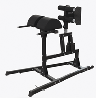 Machine d'hyperextension commerciale GHD robuste pour le renforcement des fessiers et des ischio-jambiers – Chaise romaine