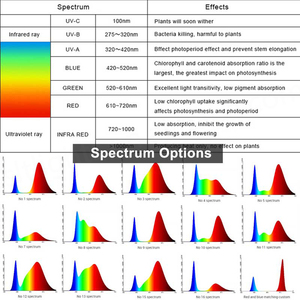 Lampe de culture LED suspendue pour légumes, pour la production de fruits, laitue, fruit du dragon, patia, tomates, concombres, lampe LED pour plantes, 4 pieds, 120W - Product Image 5