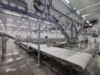 RVS vleesverwerkingslijn voor snijden, trimmen, sorteren en productie