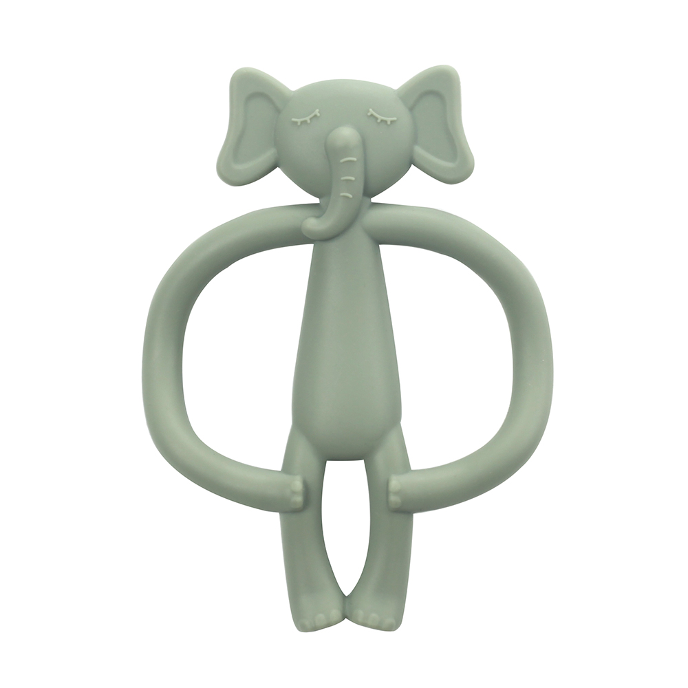 éléphant sauge du désert