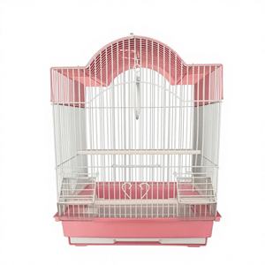 Vente en gros d'usine, oiseaux de compagnie de grande taille de haute qualité - Product Image 2