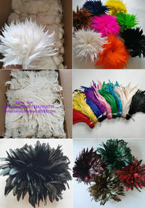 Vente directe d'usine : Plumes de coq, plumes de queue de coq, plumes de carnaval - Product Image 6