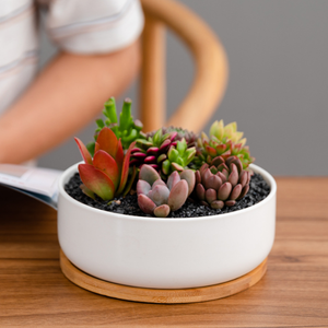 Mini <span class=keywords><strong>pot</strong></span> de fleur succulente en céramique blanche et outils de plantation <span class=keywords><strong>pot</strong></span> <span class=keywords><strong>rectangulaire</strong></span> simple avec plateau en <span class=keywords><strong>bambou</strong></span> - Product Image 4