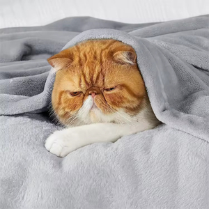 Couverture en flanelle polaire Super douce en microfibre légère couvertures de voyage légères pour canapé canapé école lit <span class=keywords><strong>Camping</strong></span> - Product Image 4