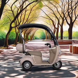 سكوتر كهربائي هولادي 60 فولت/20 أمبير بثلاث عجلات مع مصباح أمامي LED دراجة كهربائية ثلاثية العجلات لراكبين - Product Image 2