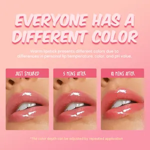 Lipstik perona pipi cair berubah warna, Lipgloss penutrisi berkilau, Label pribadi berubah warna