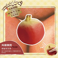 MOLYNK Superzachte Langzaam Terugverende Fruit PU Squishy Stressverlichtende Ventilatie Fidget Toys Schattige Fruit Blind Box Collectible Speelgoed voor Meisjes & Jongens